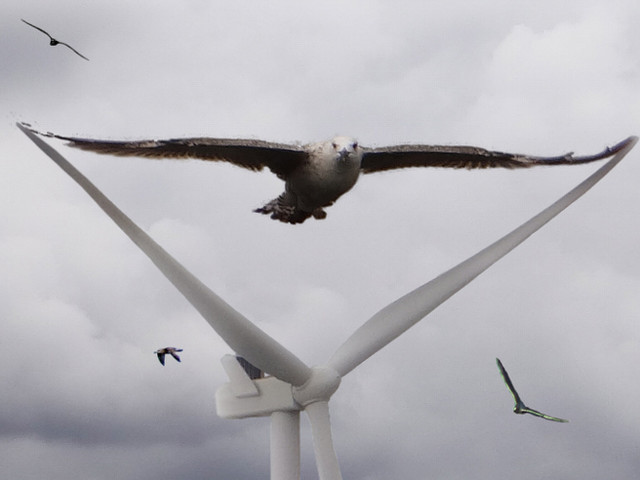 SEGUIMIENTOS_MORTALIDAD